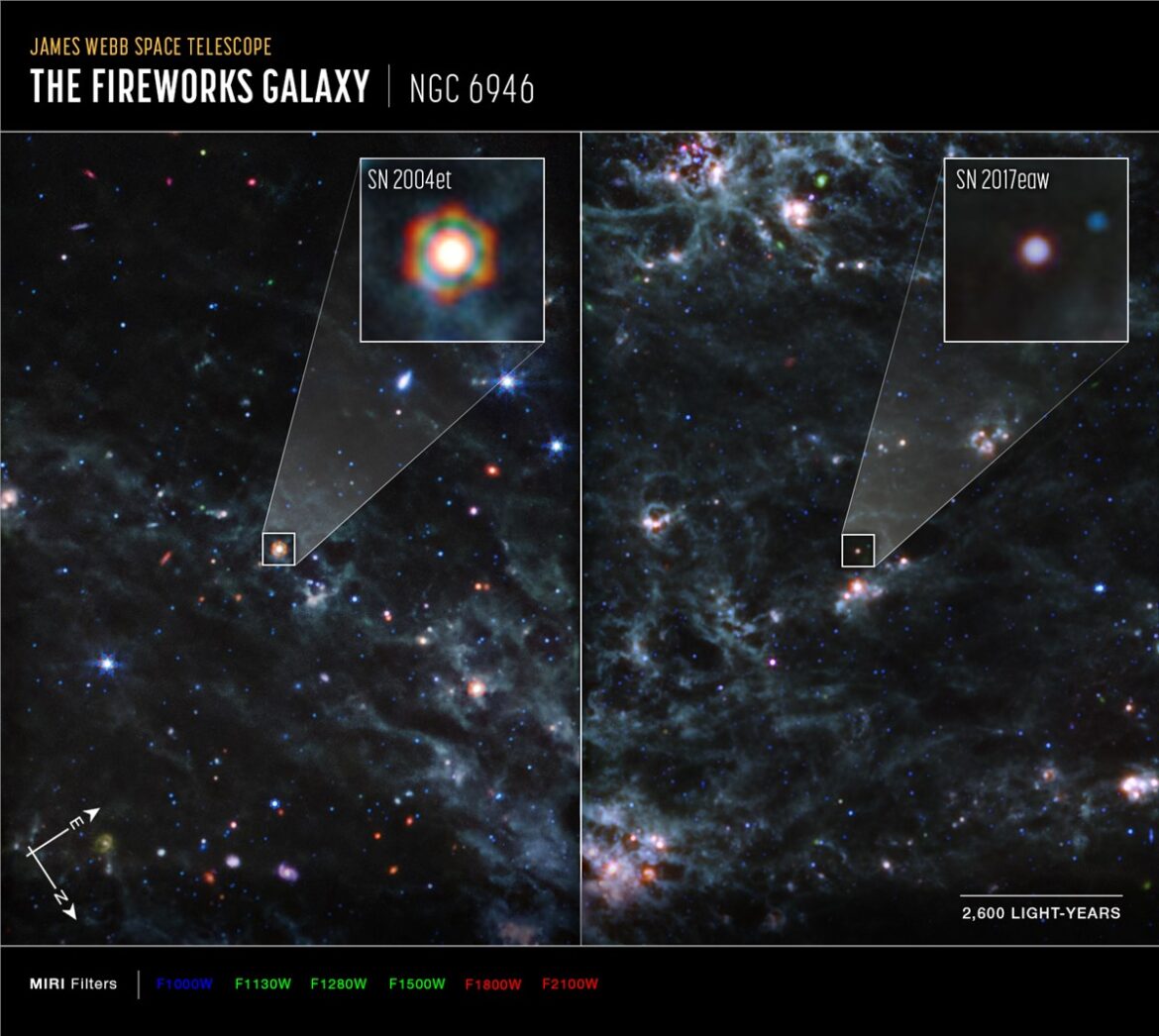 Webb Locates Dust Reservoirs in Two Supernovae